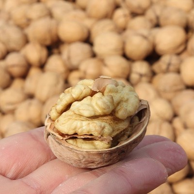 新疆185纸皮核桃阿克苏特产纸皮薄壳手捏核桃琥珀核桃仁坚果零食图3