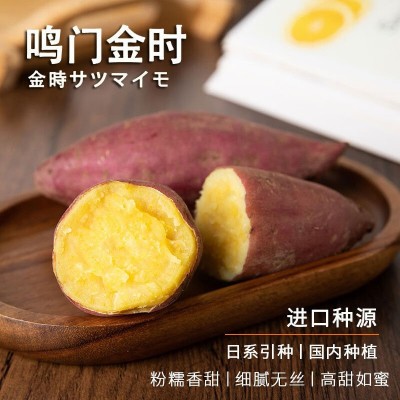 海南鸣门金时地瓜/红薯
