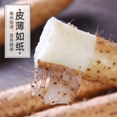 正宗铁棍山药5斤新鲜小白嘴山药铁杆淮山10斤非温县垆土一件代发图4