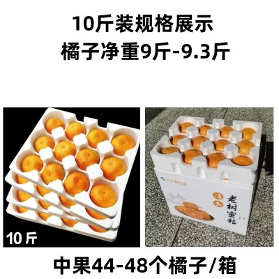 正宗临海涌泉蜜桔新鲜无核薄皮桔子10斤整箱当季水果现摘现发图4
