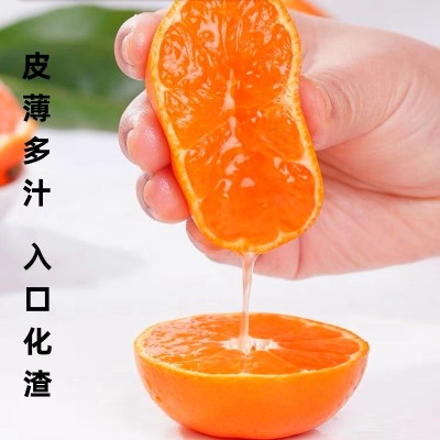 正宗临海涌泉蜜桔新鲜无核薄皮桔子10斤整箱当季水果现摘现发