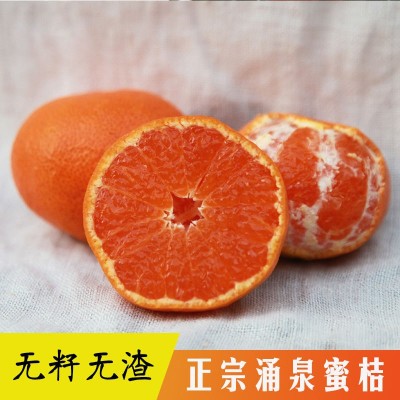 正宗临海涌泉蜜桔新鲜无核薄皮桔子10斤整箱当季水果现摘现发图3