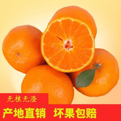 正宗临海涌泉蜜桔新鲜无核薄皮桔子10斤整箱当季水果现摘现发图2