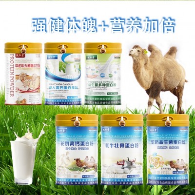 源头工厂驼奶蛋白粉益生菌蛋白粉贴牌代加工资质齐全品种多样图4