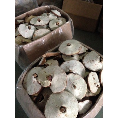 人工栽培 段木赤灵芝 韩芝 干燥 开裂 破损灵芝 优惠处理图3