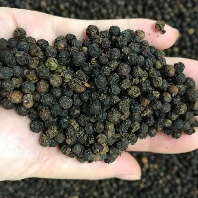 黑胡椒颗粒五两八越南原装黑椒西餐调味料香辛料大货供应批发图4