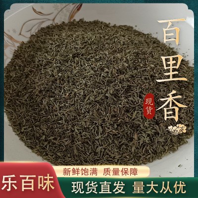 现货百里香炖牛羊肉调味香辛料西餐厅牛排意大利面百里香调味料