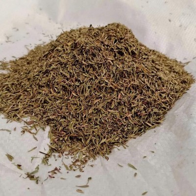 现货百里香炖牛羊肉调味香辛料西餐厅牛排意大利面百里香调味料图4