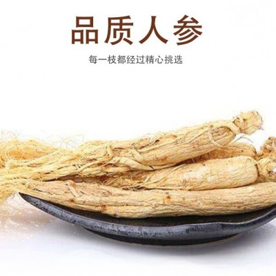 吉林长白山人参整根生晒参全须高龄参类东北特产干白参多规格批发图2