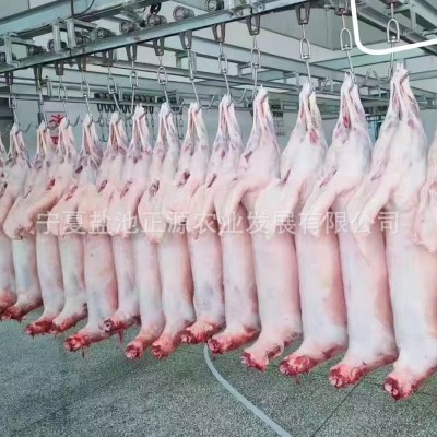 商用批发宁夏盐池滩羊绵羊胴体白条羊-火锅食材烧烤食材厂家直供图2