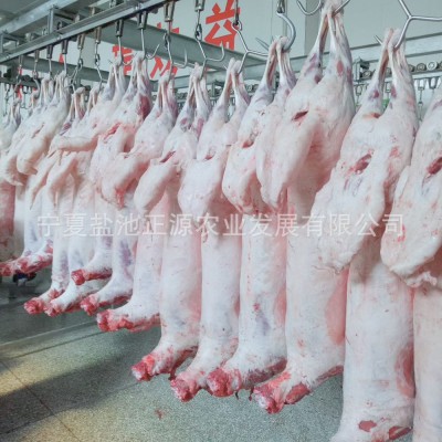 商用批发宁夏盐池滩羊绵羊胴体白条羊-火锅食材烧烤食材厂家直供图4