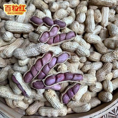 【百粒红】湿烤红衣花生四粒红超市专供礼袋包装闽西特产送礼袋图3