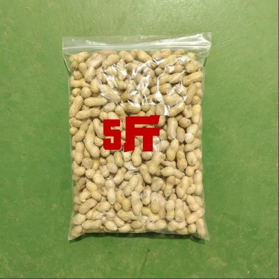 【小珍珠生花生】自然晾晒生花生小日本品种筛选精品带壳农户直发