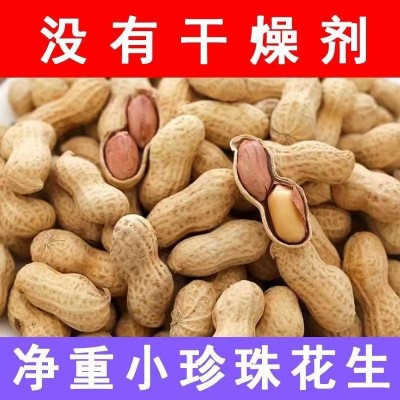 【一斤简装】蒜香五香小珍珠带壳吊炉花生炒货香脆休闲零食产地图2