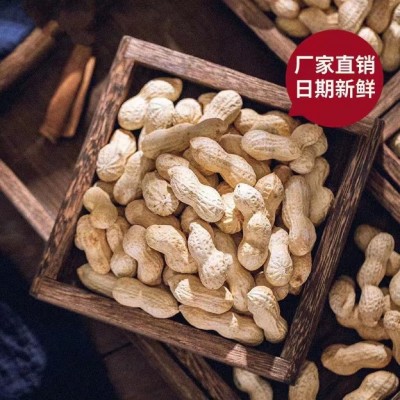 【一斤简装】蒜香五香小珍珠带壳吊炉花生炒货香脆休闲零食产地图4
