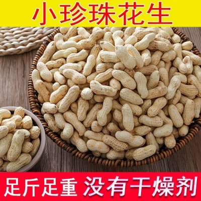 【一斤简装】蒜香五香小珍珠带壳吊炉花生炒货香脆休闲零食产地图3