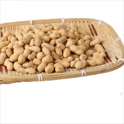 【五斤实惠装】蒜香五香带壳小珍珠吊炉花生零食熟花生炒货干果图5
