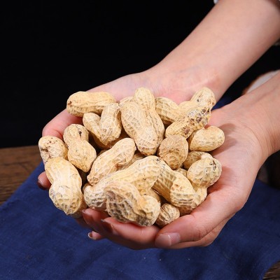 花生小吃休闲食品水煮卤味花生颗粒饱满休闲零食口味规格定制带壳图2