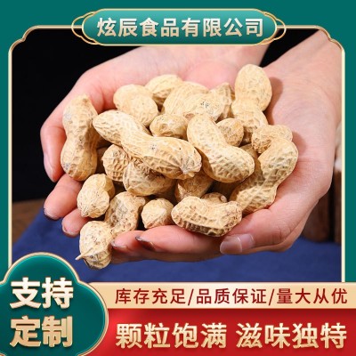 花生炒货带壳蒜香花生休闲零食下酒办公室零食袋装批发准康花生