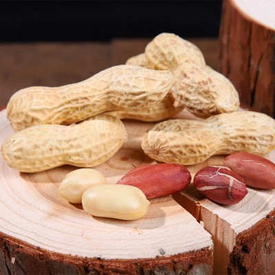 花生炒货带壳蒜香花生休闲零食下酒办公室零食袋装批发准康花生图4