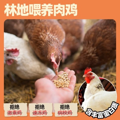 菜欢欢风干鸡胸肉干大罐手撕香辣肉条代餐高蛋白解馋即食小零食图3