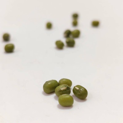 新鲜绿豆东北大明绿豆大颗粒绿豆可发豆芽真空装易沙易煮东北绿豆图2