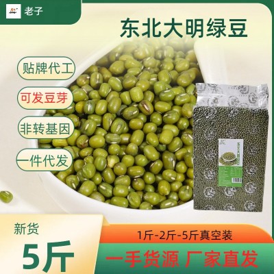 新鲜绿豆东北大明绿豆大颗粒绿豆可发豆芽真空装易沙易煮东北绿豆