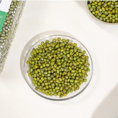 新鲜绿豆东北大明绿豆大颗粒绿豆可发豆芽真空装易沙易煮东北绿豆图3