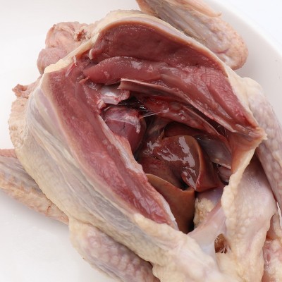 上海农场谷饲乳鸽300g光明乳鸽子肉脆皮乳鸽煲汤土鸽散养生鲜冷冻图4