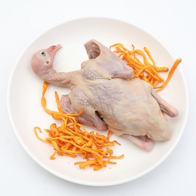 上海农场谷饲乳鸽300g光明乳鸽子肉脆皮乳鸽煲汤土鸽散养生鲜冷冻图5