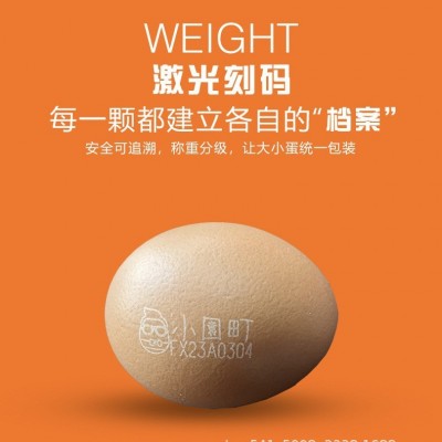 端午节员工福利可生食无抗富硒高锌叶黄素鲜鸡蛋图3