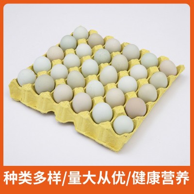 荷郡聪明乌鸡蛋 绿壳蛋农家散养乌鸡蛋新鲜林下放养30枚60枚鸡蛋图3