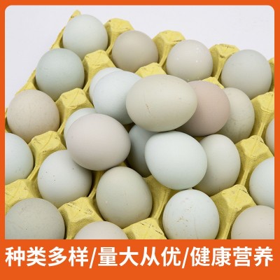 荷郡聪明乌鸡蛋 绿壳蛋农家散养乌鸡蛋新鲜林下放养30枚60枚鸡蛋图2