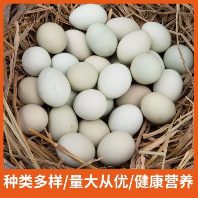 荷郡聪明乌鸡蛋 绿壳蛋农家散养乌鸡蛋新鲜林下放养30枚60枚鸡蛋图4