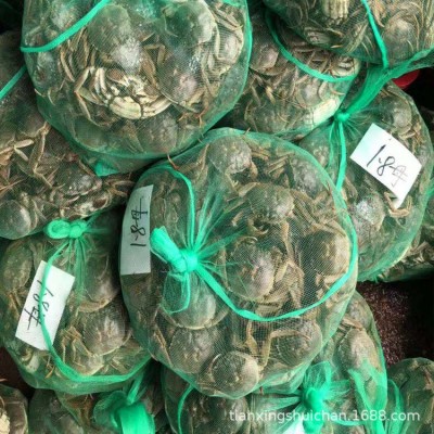 湖北洪湖生态大闸蟹 各种规格 基地出货白底鲜活大闸蟹产地批发图2