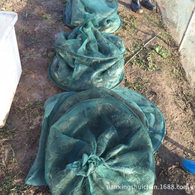 湖北洪湖生态大闸蟹 各种规格 基地出货白底鲜活大闸蟹产地批发图4