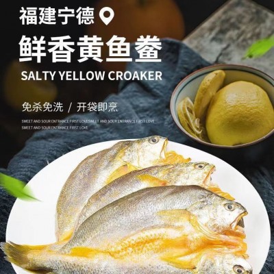 福建霞浦 三都澳 黄鱼鲞 免杀洗三去开背 冰冻黄鱼 顺丰冷链直发