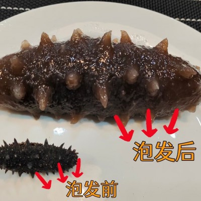 大连工厂！淡干海参干货批发包邮礼盒装刺参辽参野生电商一件代发图4