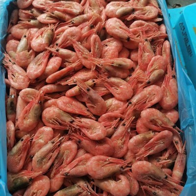 现货批发 即食北极虾带籽腹籽海鲜水产冻虾北极甜虾图2