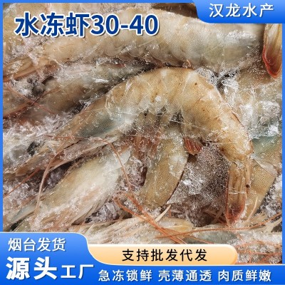 现货批发 水冻虾30-40冷冻大虾冻虾商用整箱批发基地