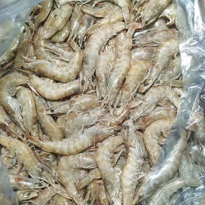 现货批发 大板虾40-50冷冻白虾盐冻虾商用整箱批发基地图3