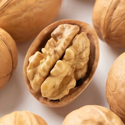 【严选】185纸皮生核桃新疆特产新货批发500g 手捏即开手剥新疆薄图3