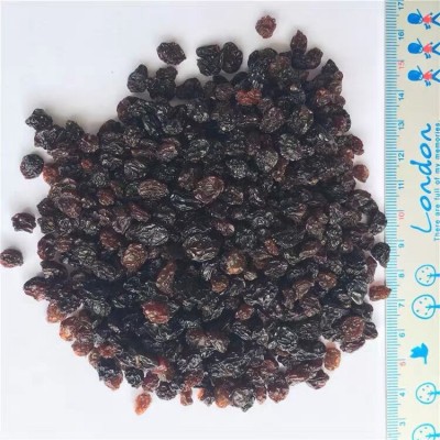 南非迷你黑加仑葡萄干提子干炒酸奶水果茶燕麦烘焙配料汤圆馅料图3
