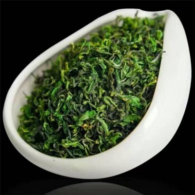 日照绿茶 明前茶 小叶雪青芽茶 散装 三月茶叶 袋装500g包邮图4