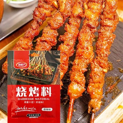 淄博烧烤料餐饮摆摊夜市烤串撒料干碟铁板蘸料烤肉香辣袋装烧烤料图4
