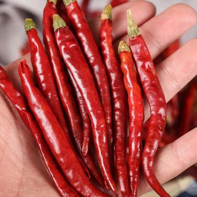 批发丘北辣椒500g精选丘北椒提色增香油辣椒香辣型辣椒丘北干辣椒图2
