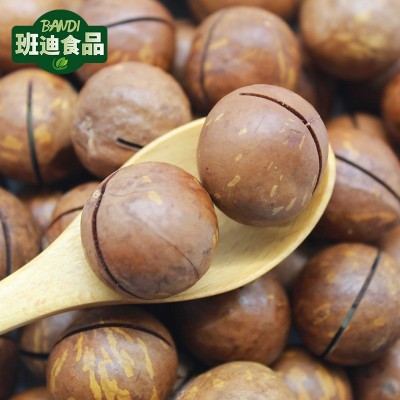 夏威夷果 小果奶香 坚果炒货 干果仁批发 坚果酱/乳 原料 冷饮图2