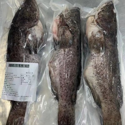 酒店食材三去珍珠斑老虎斑珍珠龙胆鱼石斑鱼鲜活冷冻 大龙胆鱼图3