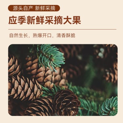福照麦乐新货特大开口松子松籽孕妇零食手剥营养干果坚果炒货图4