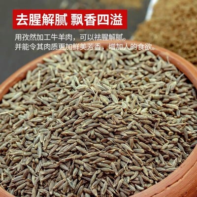批发新疆正宗特产孜然粒500g烧烤撒料香料调味磨粉小茴香 烤肉调味图3